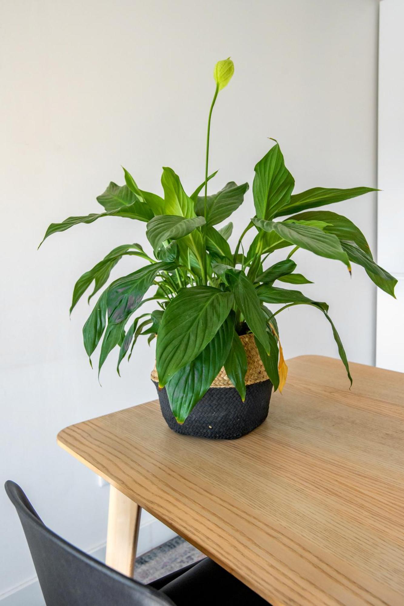 Bright Apartment In Lisboa Extérieur photo